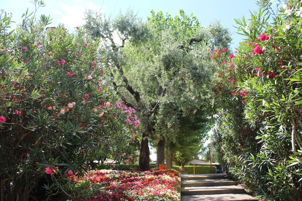 Camping Cisano - San Vito Bardolino Exterior foto